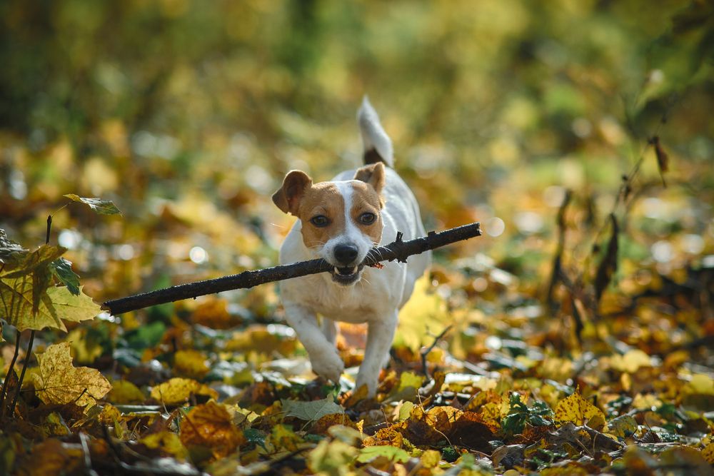 Photograph by Татьяна Михеева