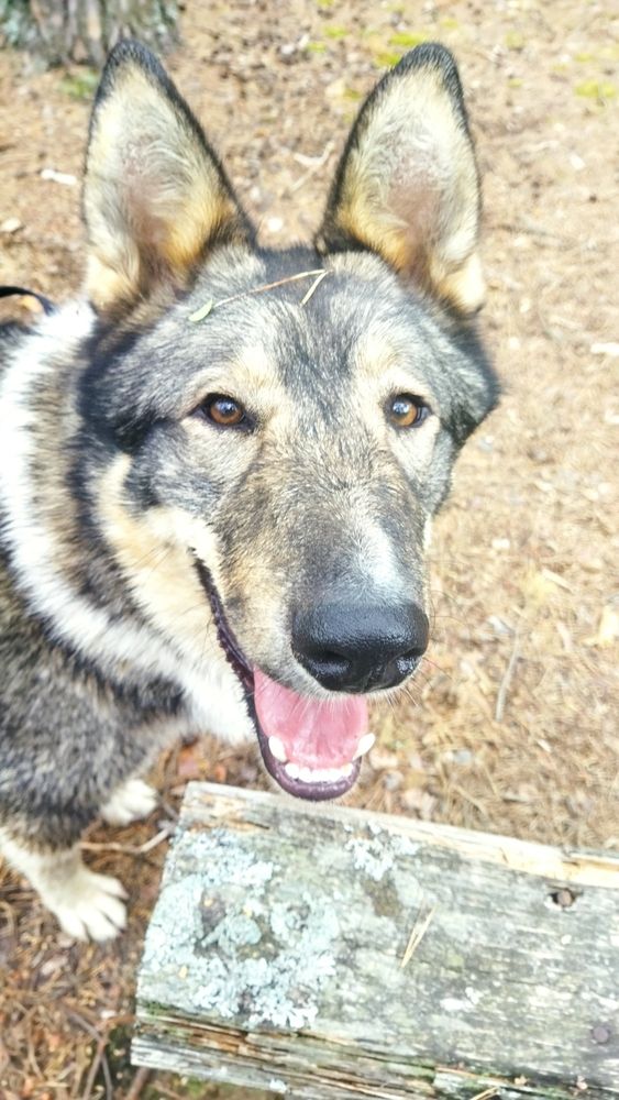 Photograph by Юлия Морозова