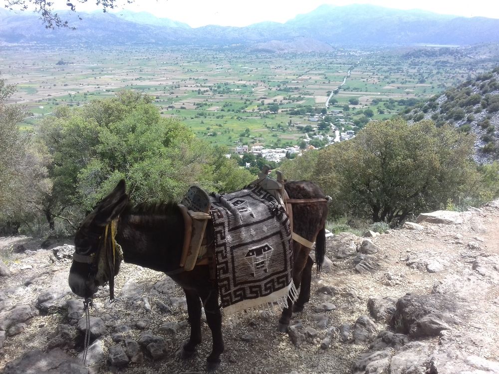 Photograph by Žanis Smikersts