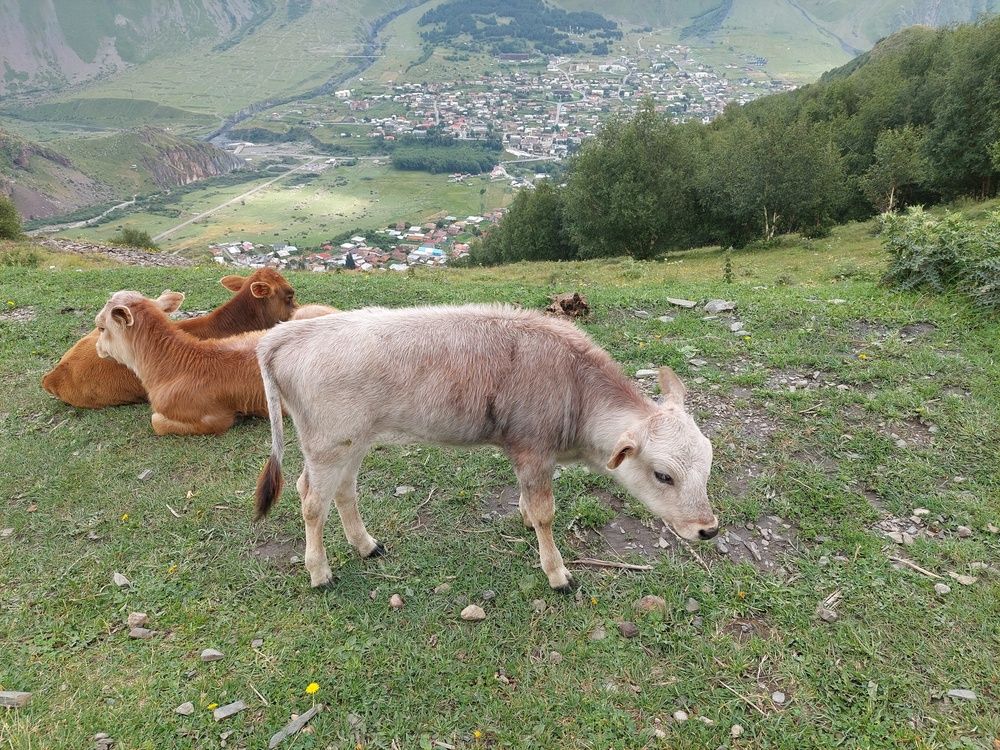 Photograph by Žanis Smikersts