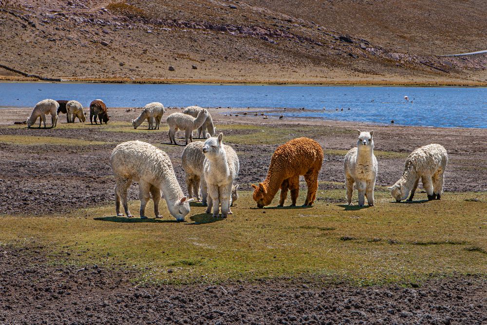 Photograph by Ольга Мусиенко
