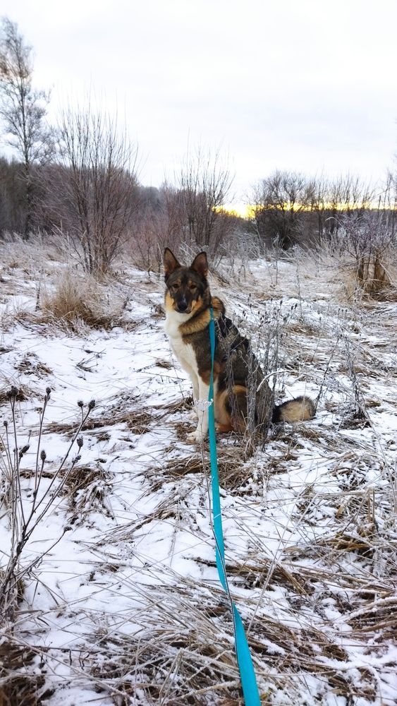 Photograph by Юлия Морозова