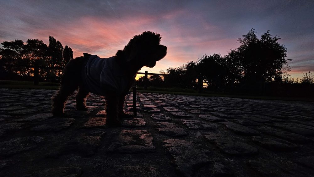 Photograph by Руслана Радкевич