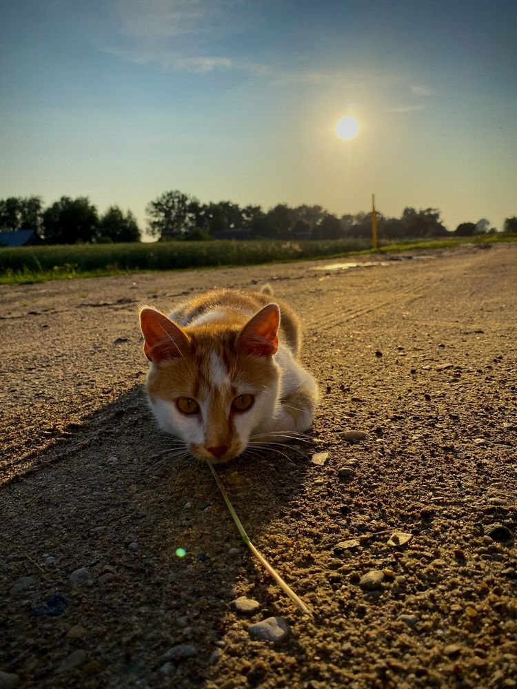 Photograph by Alexey Nuzha