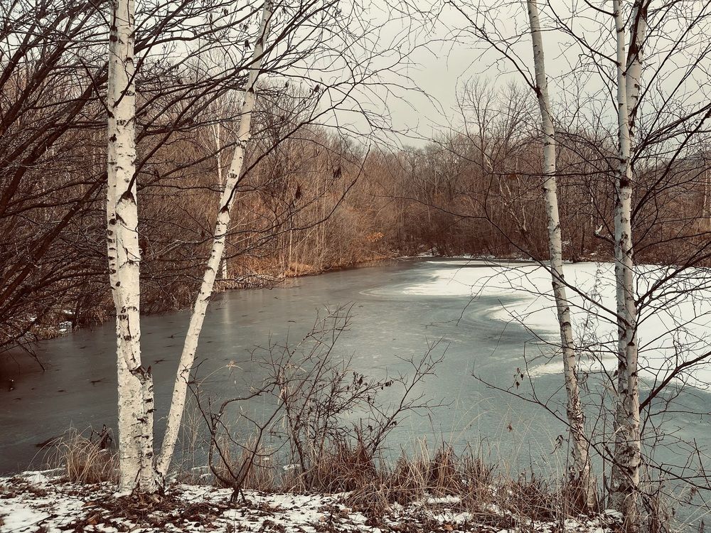 Photograph by Света Троянова