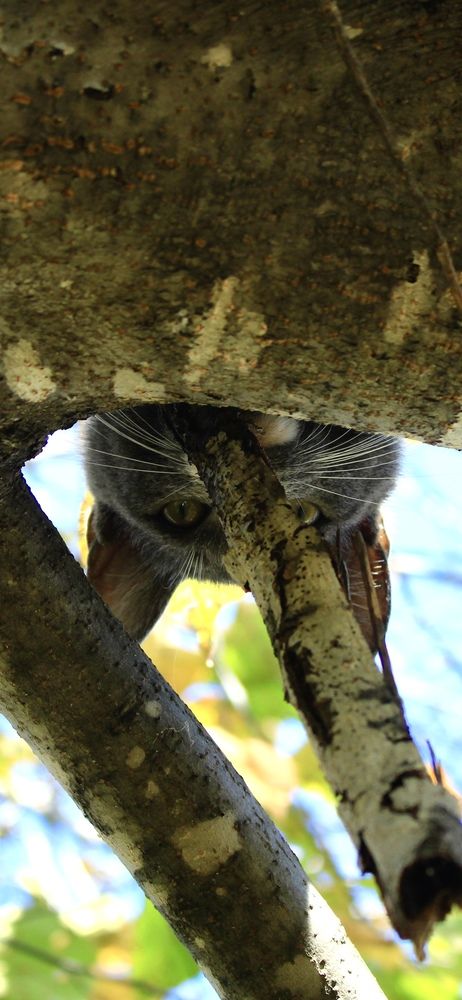 Photograph by Света Троянова