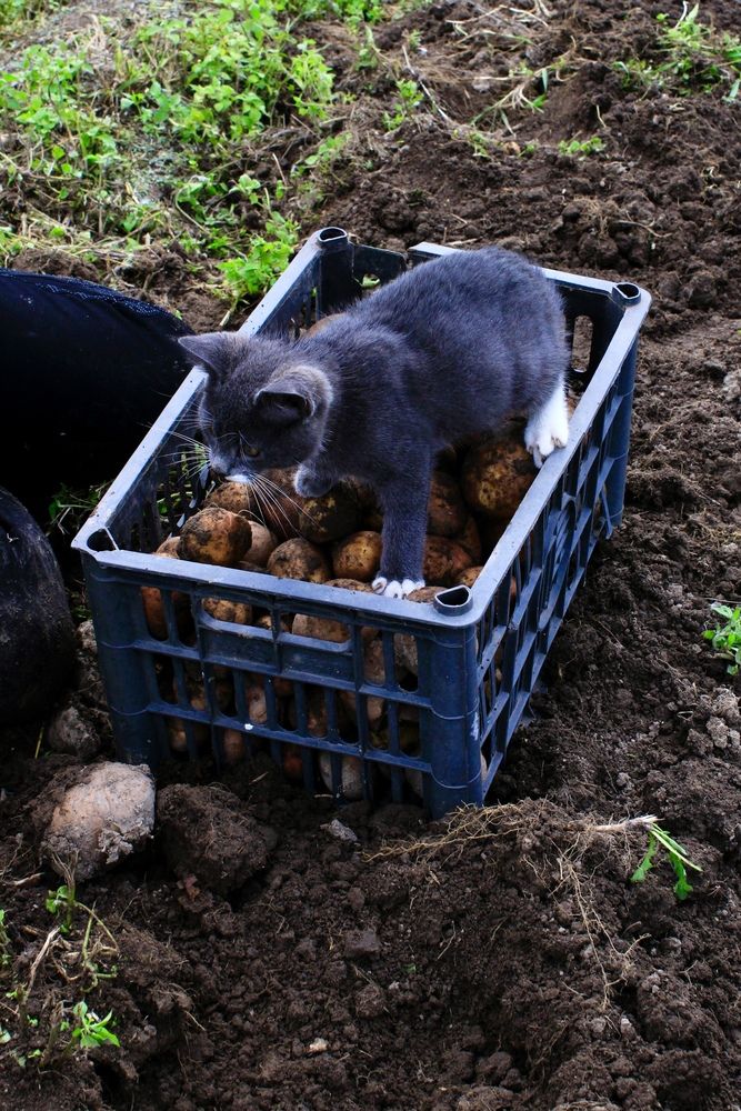 Photograph by Света Троянова