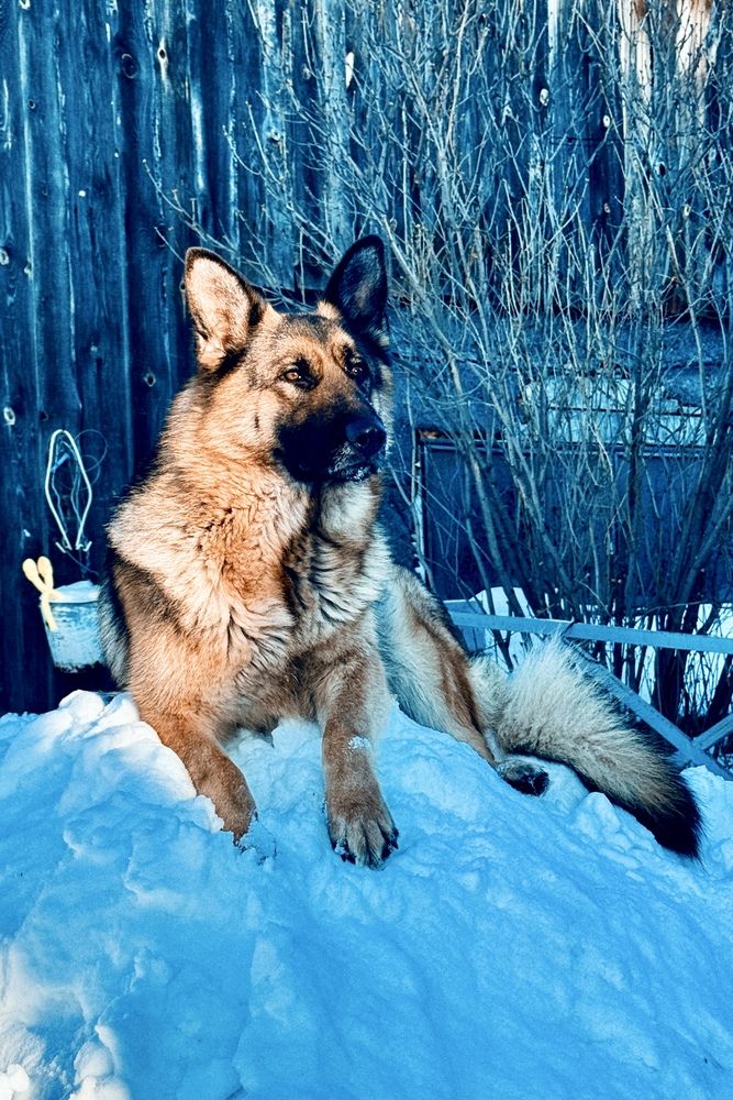 Photograph by Мария Смирнова