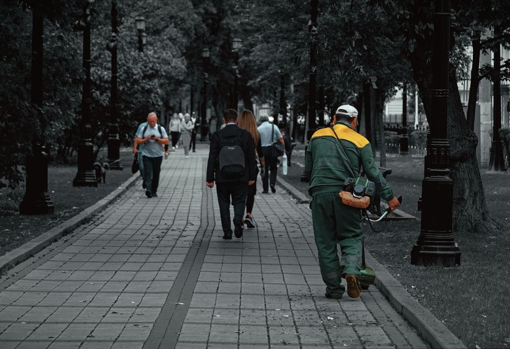 Photograph by Михаил Косолапов