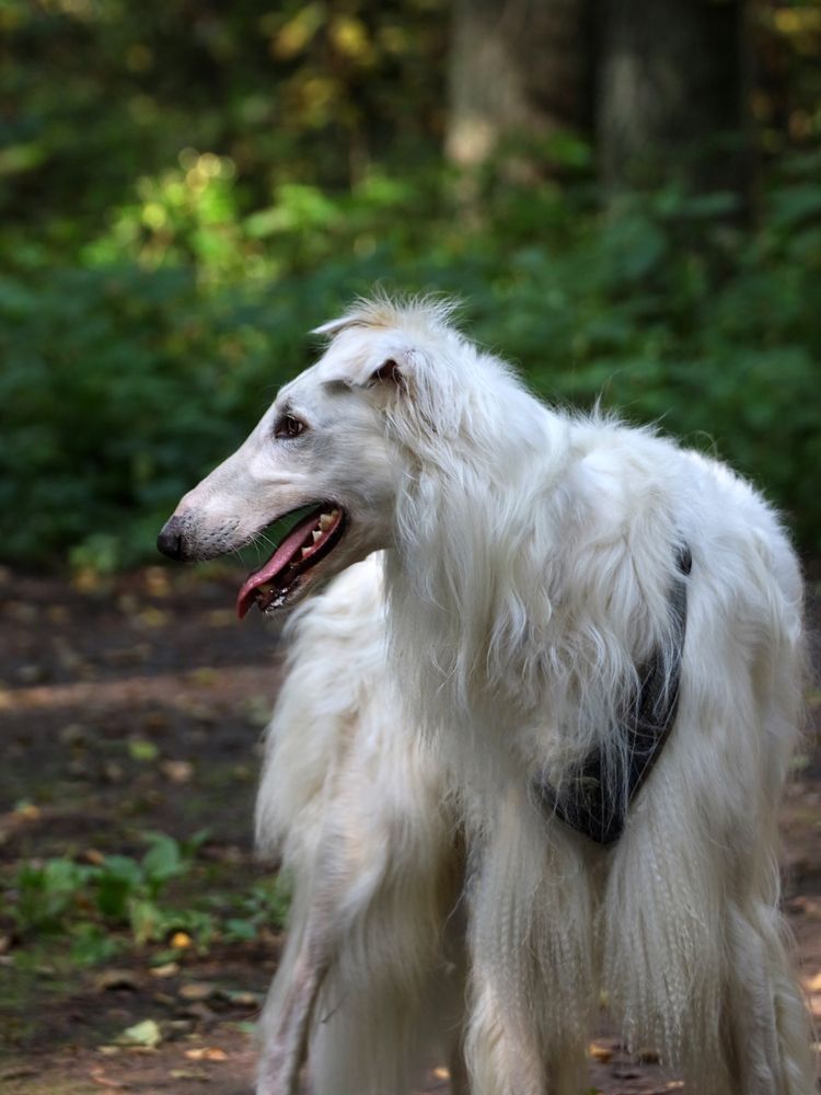 Photograph by Марианна Браун