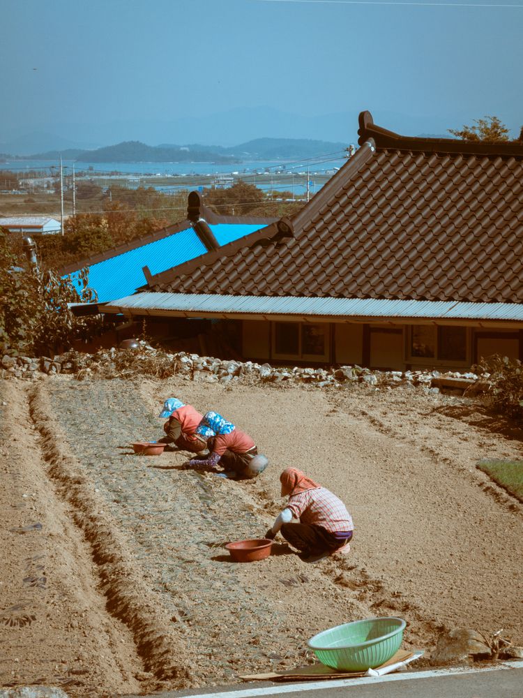 Фотография автора Алексей Ефимов