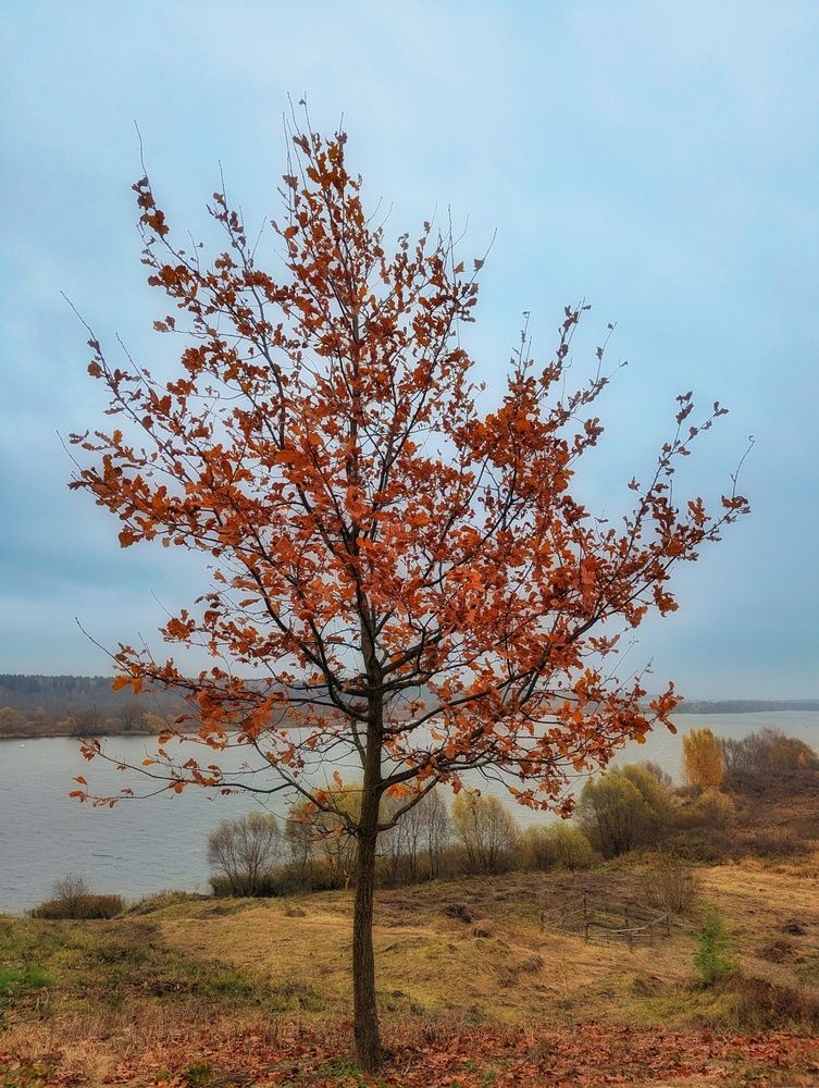 Photograph by Сергей Кулиев