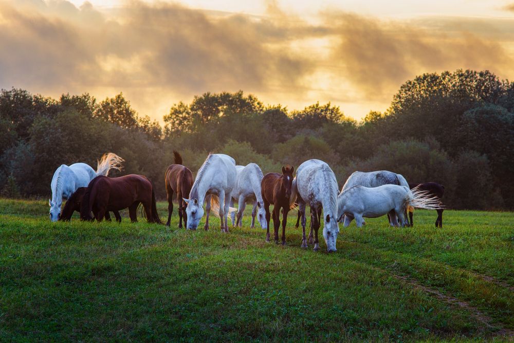 Photograph by Колтакова Наталия