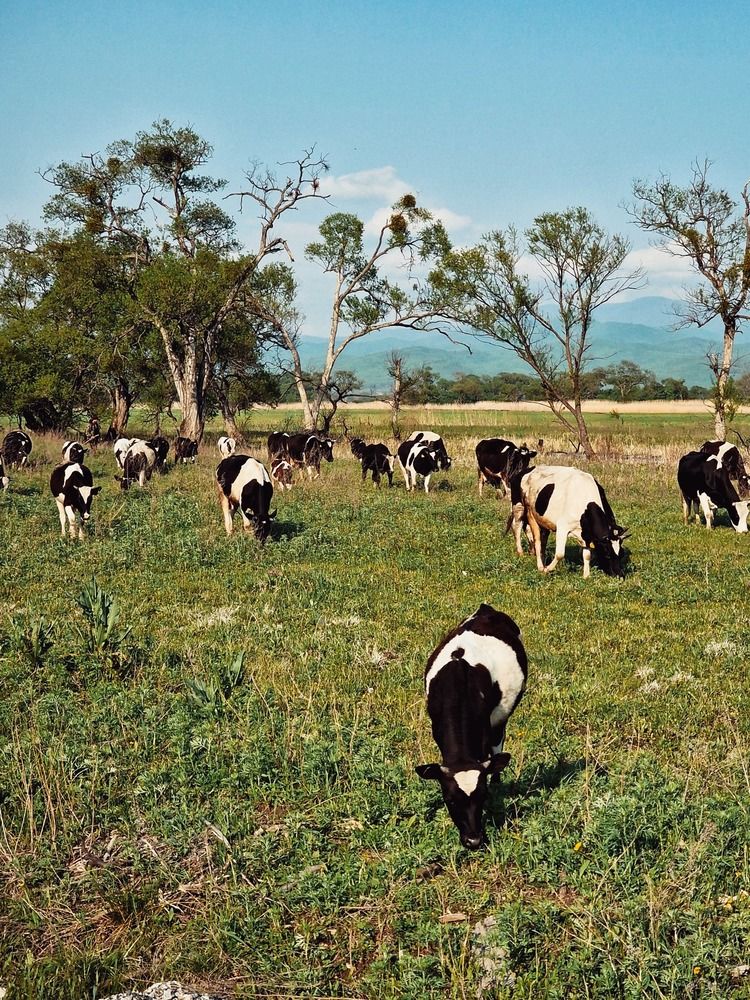 Photograph by Мария Стремина