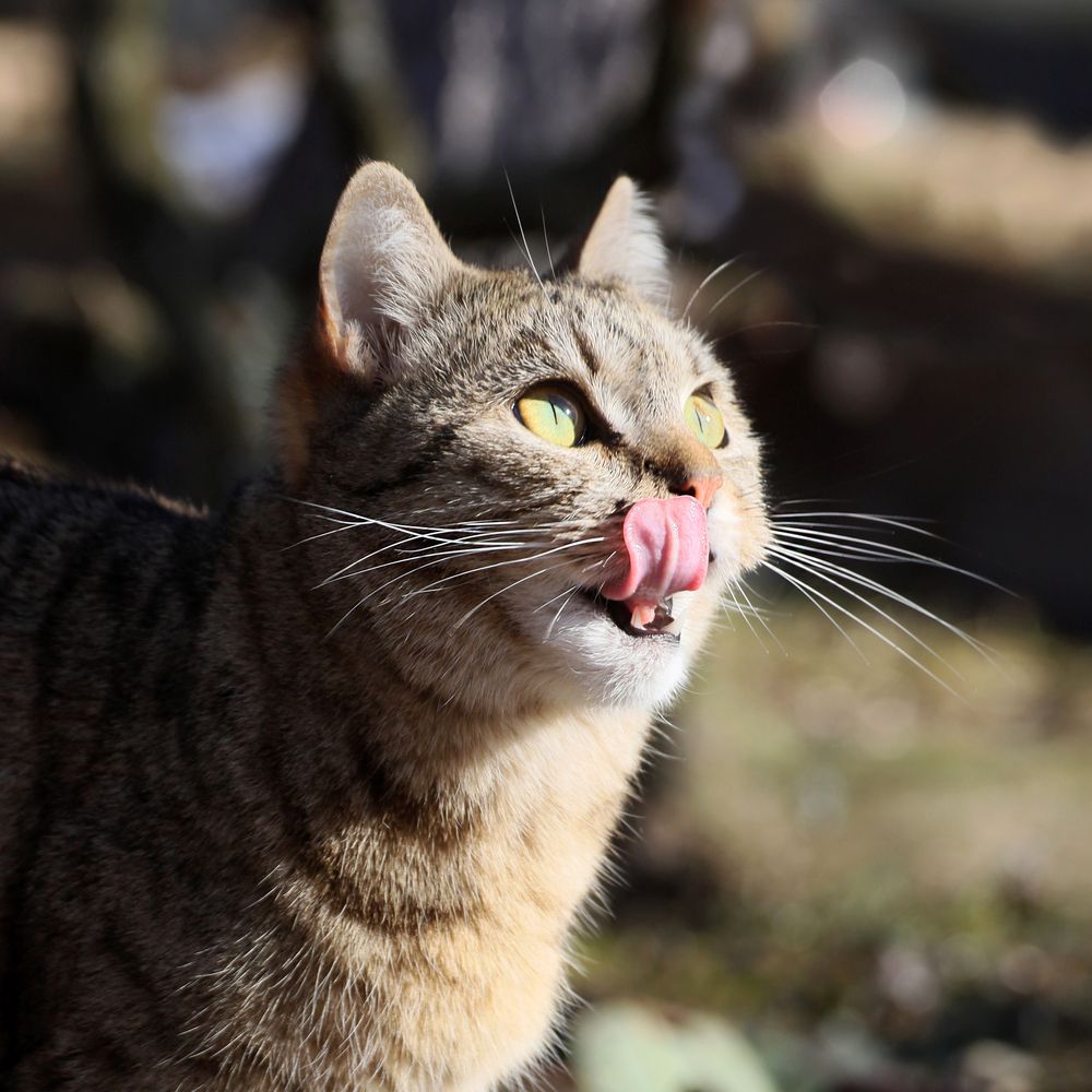 Photograph by Марианна Браун