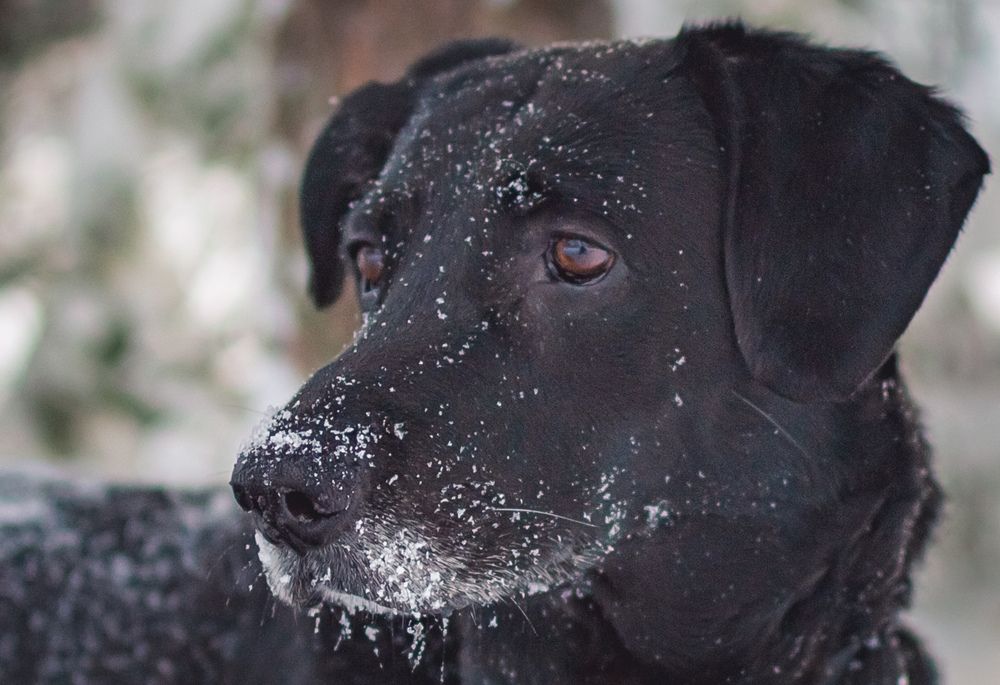 Photograph by Евгения Щеколдина