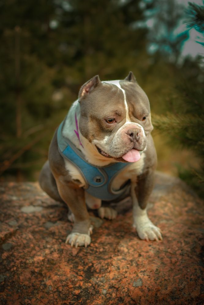 Photograph by Евгения Щеколдина