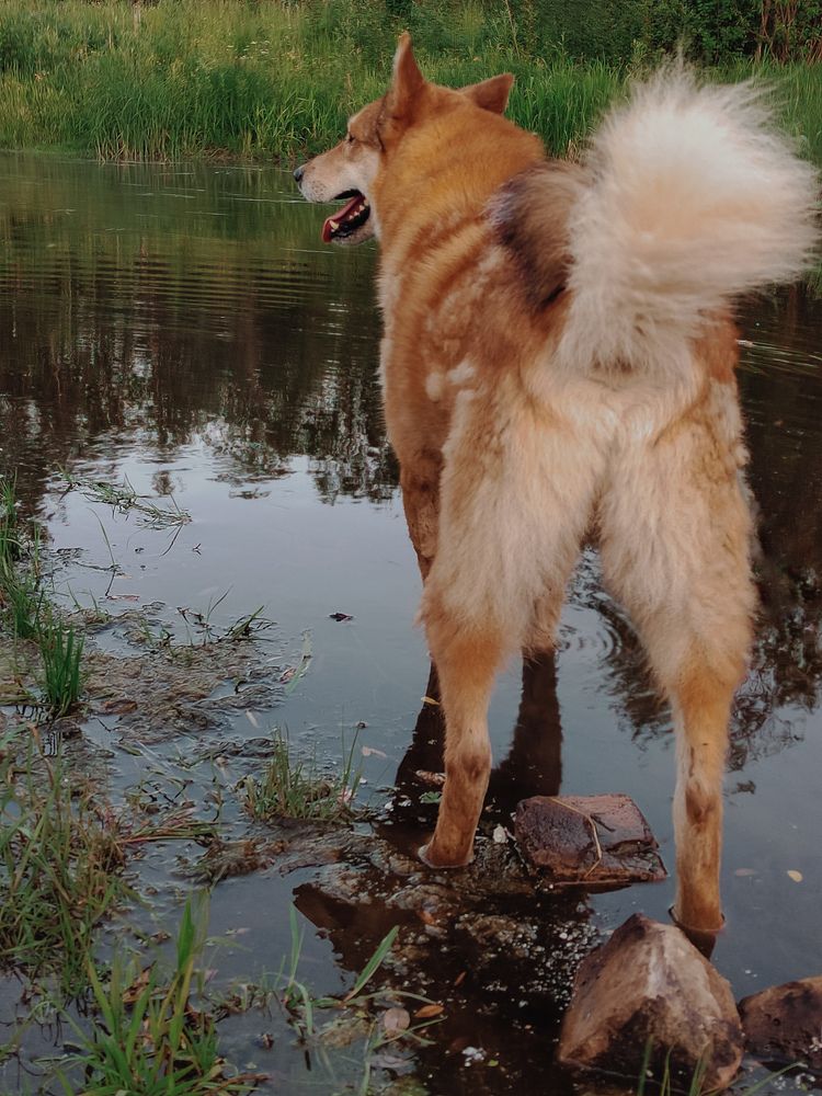 Photograph by Наталья Горовых