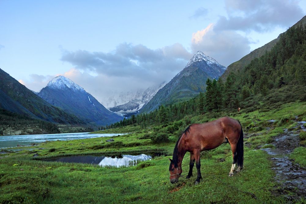 Фотография автора Кухта Мария