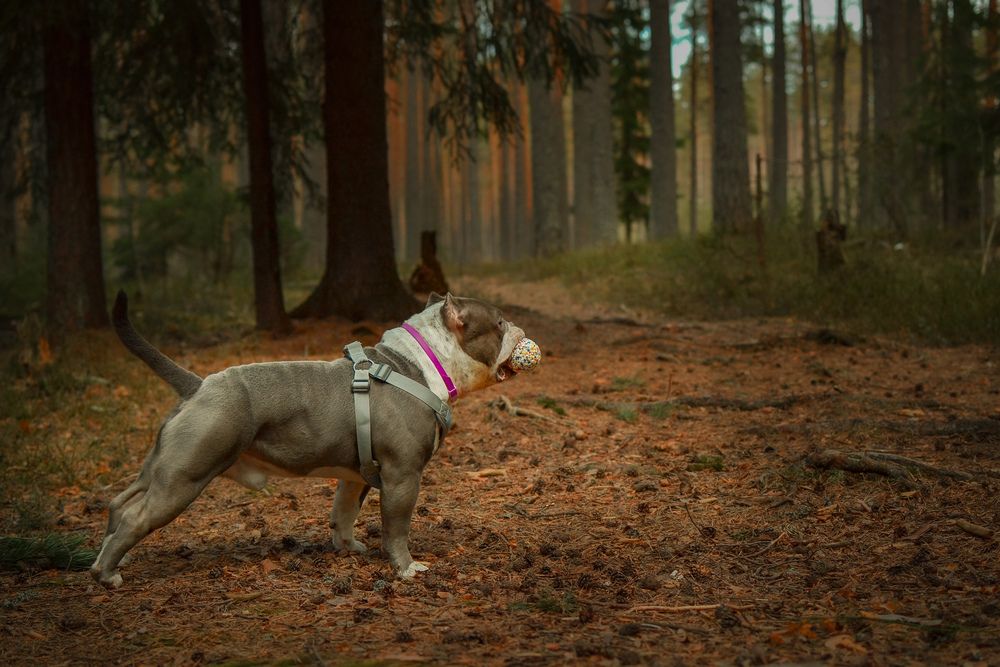 Photograph by Евгения Щеколдина