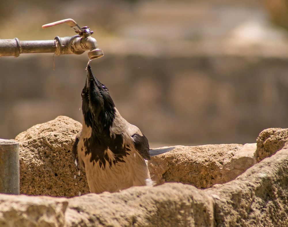 Засохло в горле