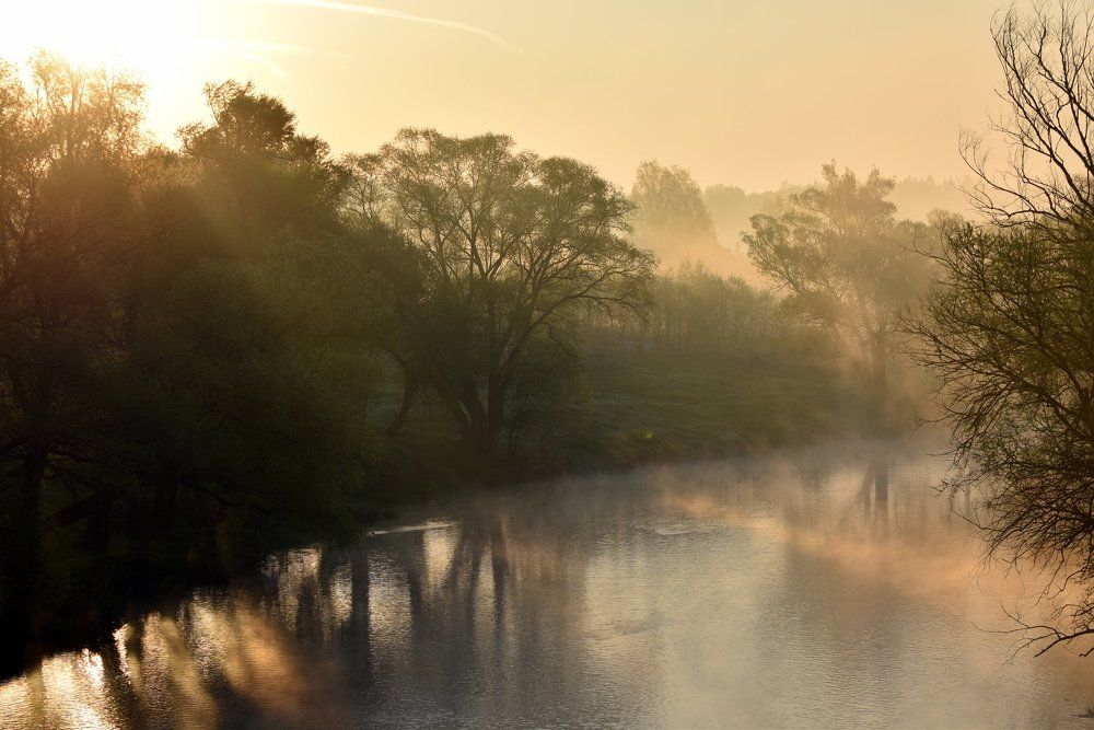 раннее утро на реке