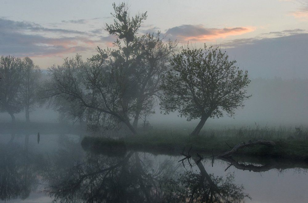 Туман на зорьке