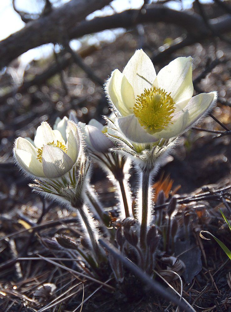 Photograph by Елена Вторушина