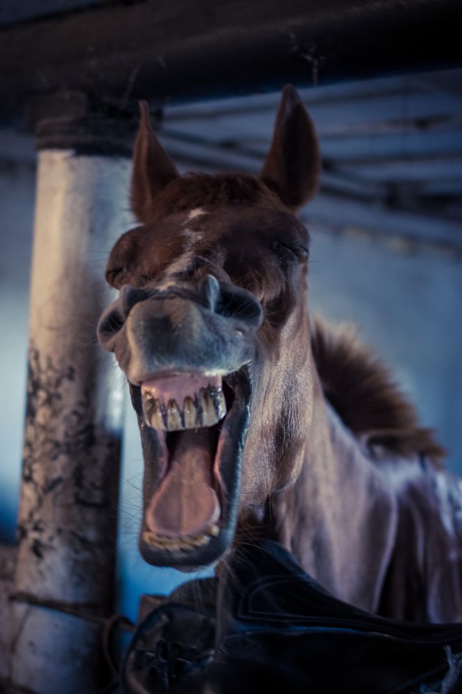 Лакалют Уайт.Подари себе голливудскую улыбку!