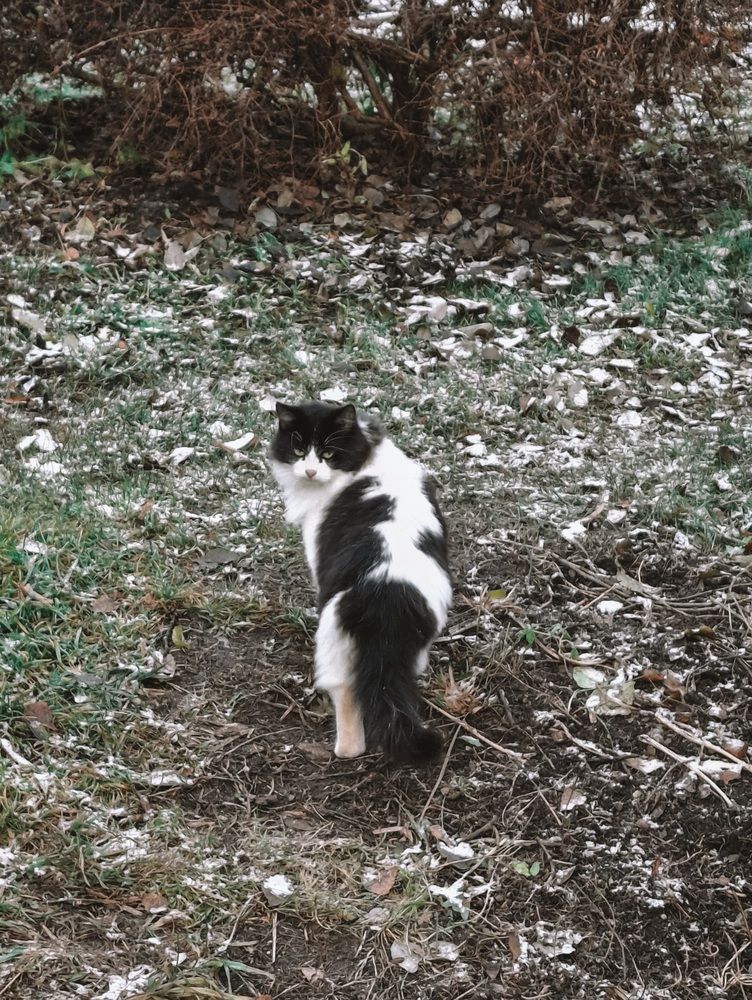 Photograph by Мария Таскаева