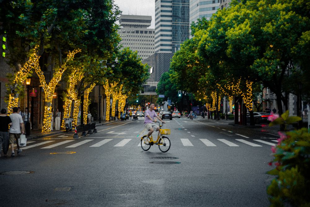 Photograph by Quang