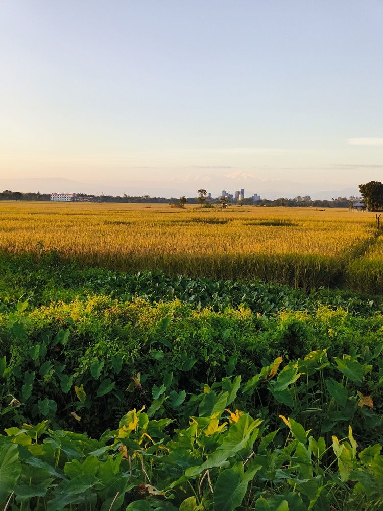 Photograph by samajdwarprasun