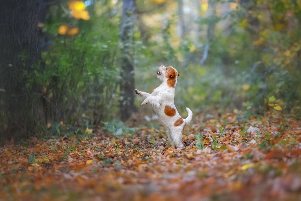 Photograph by Наталья Орел