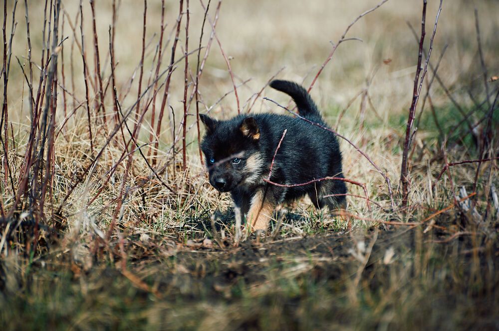 Photograph by Константин Громов