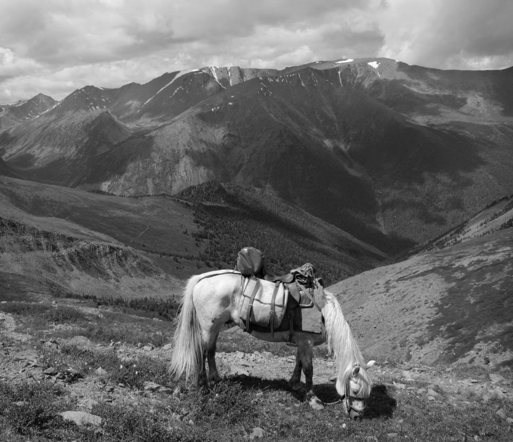 Фотография автора Кухта Мария