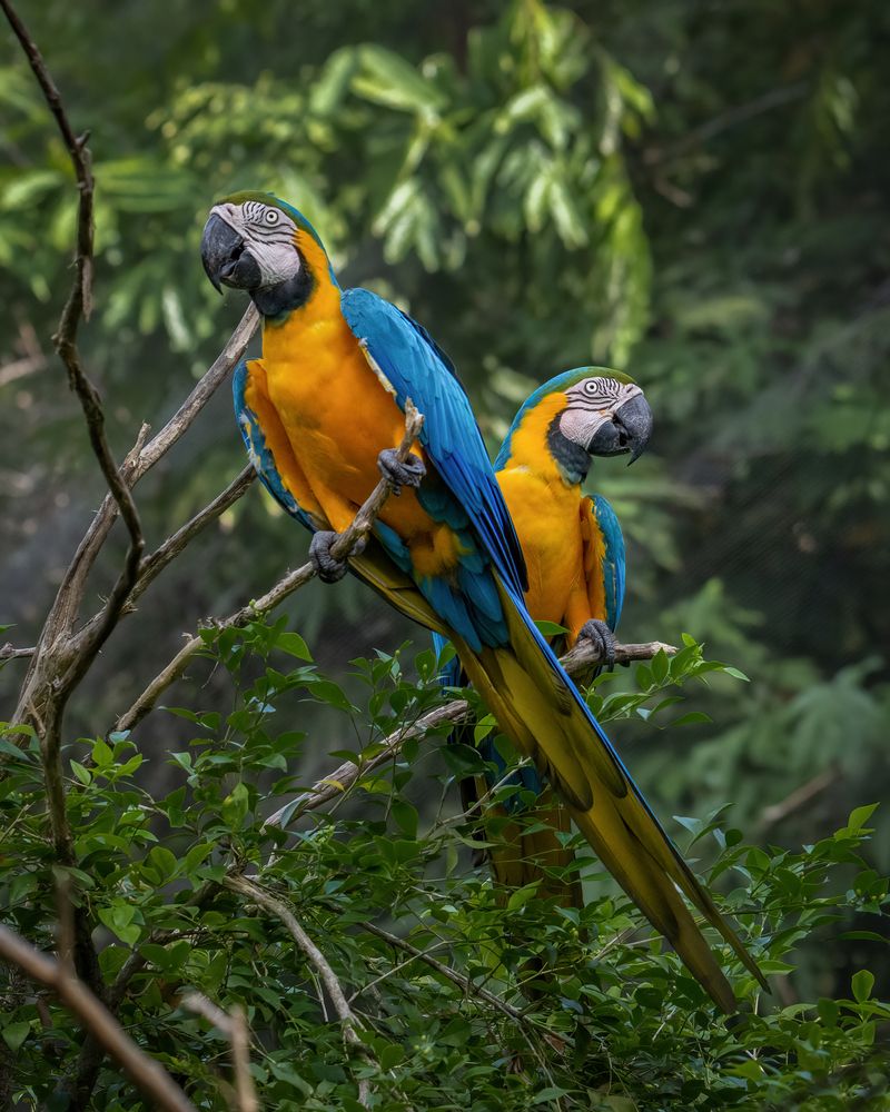 Photograph by Shehan Dondeenu