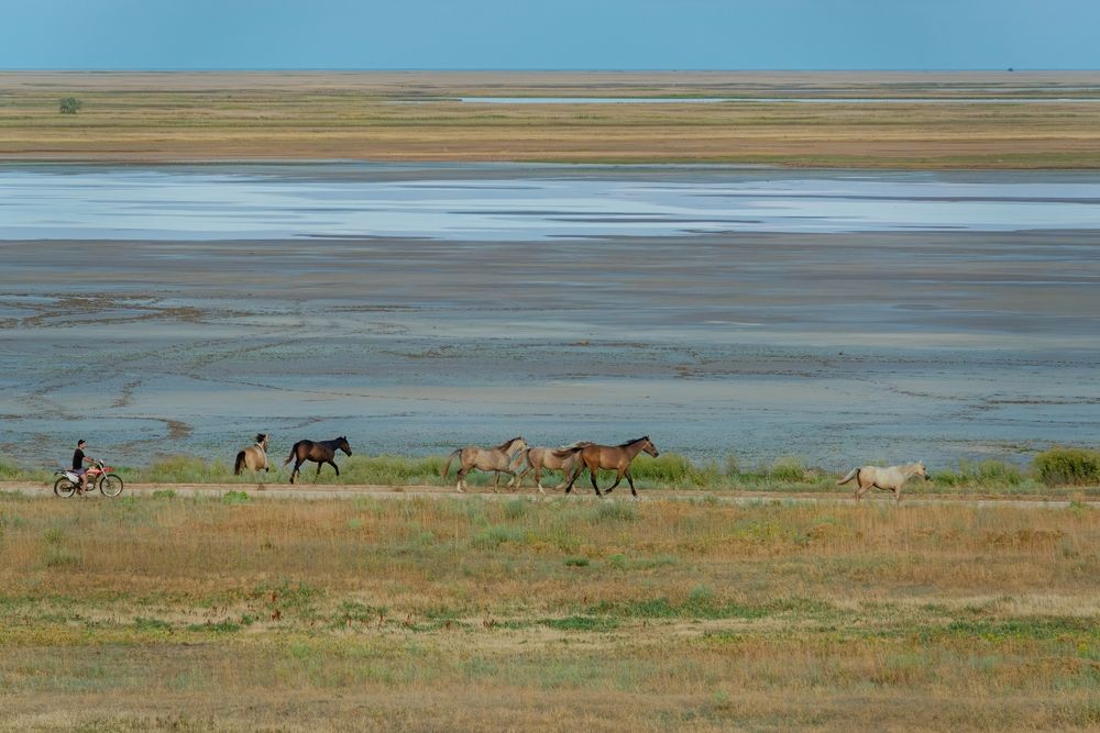 Photograph by Михаил Косолапов