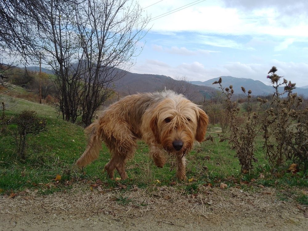 Фотография автора Liliya Slavcheva