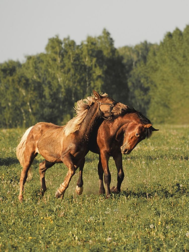 Photograph by Екатерина Ромадановская
