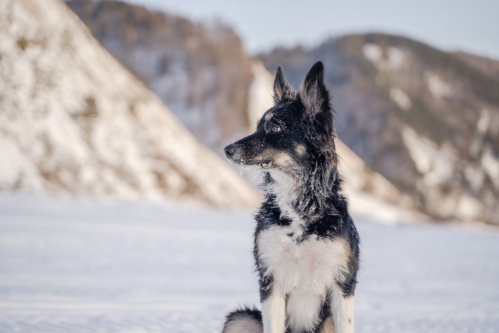 Фотография автора Юлия Бец