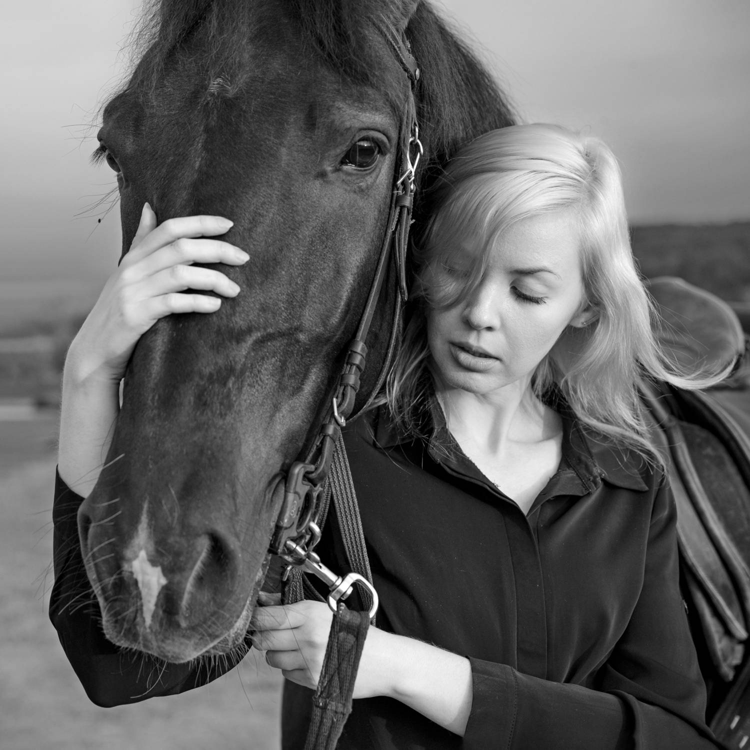 Фотография #12800378