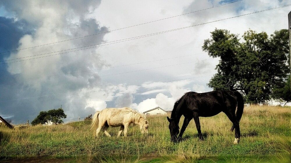 Photograph by Анна Цепкова
