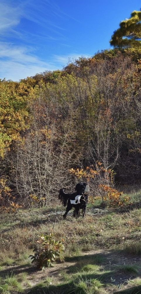 Photograph by Анна Цепкова