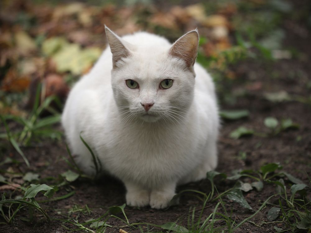 Photograph by Алексеев Сергей