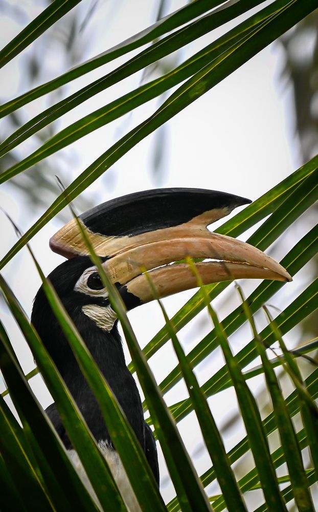 Photograph by Vikrant Khedekar