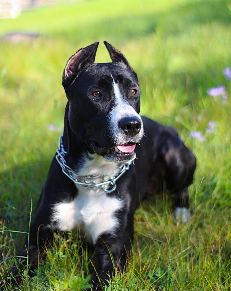 Photograph by Оксана Шарагина