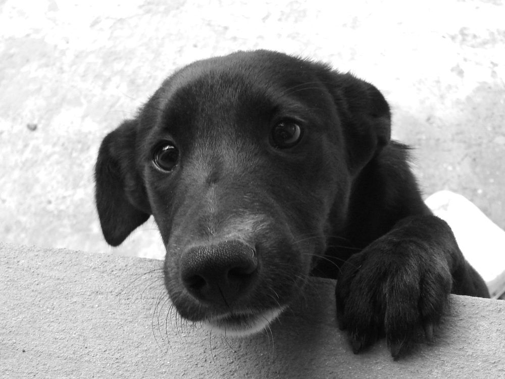 Photograph by Cristian Mirescu