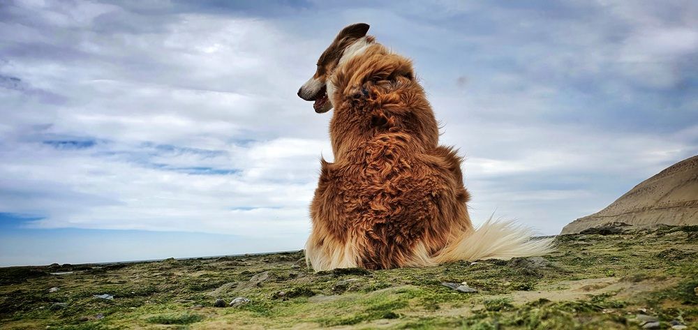 Photograph by Jorge Fernandez