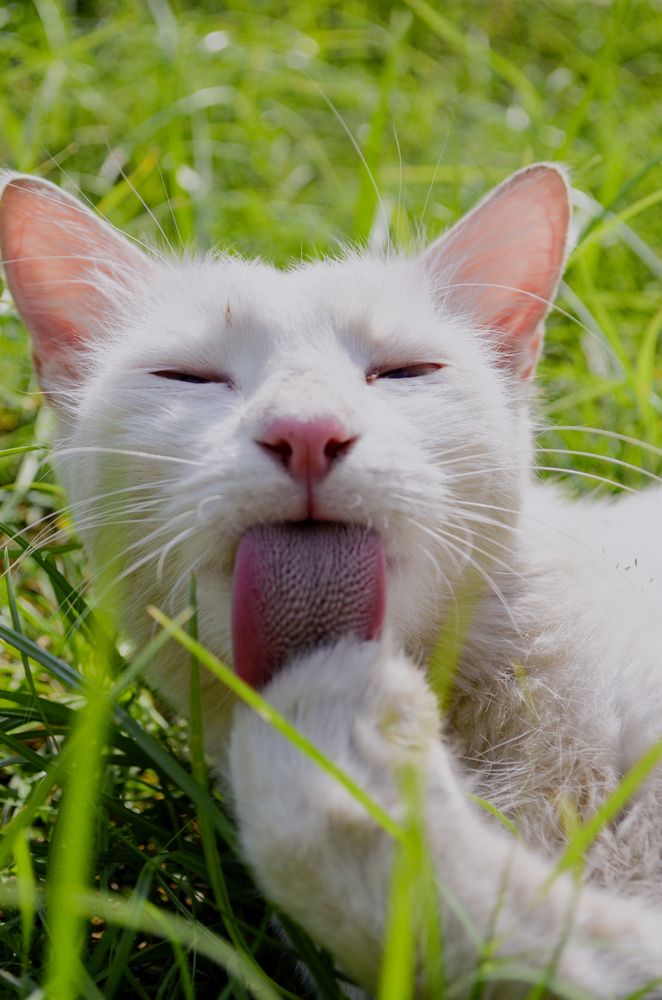 Photograph by Shahzad