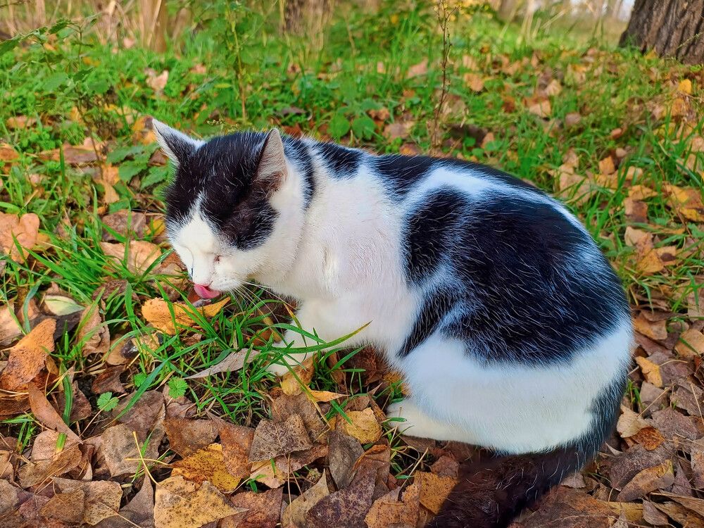 Photograph by Виталий Талисман